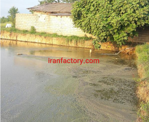 فروش 7هکتار پرورش ماهی در رشت2