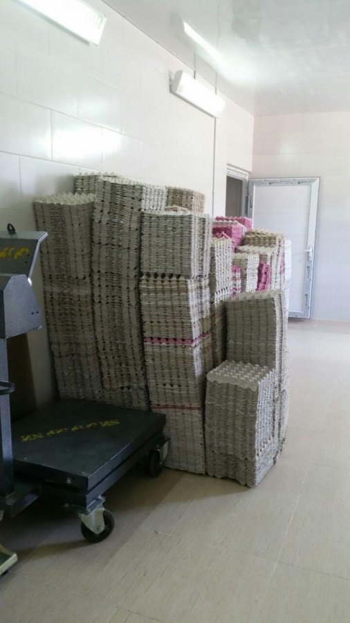 فروش کارخانه بسته بندی تخم مرغ در زنجان2