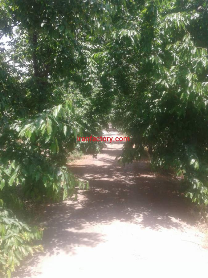 فروش باغ ویلا فلاورجان اصفهان1