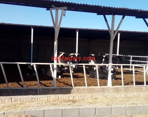 فروش گاوداری صنعتی در شیراز0