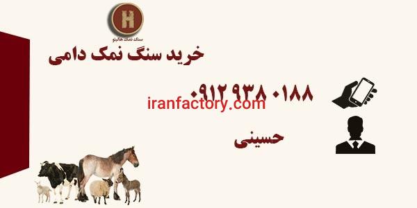 خرید اینترنتی سنگ نمک دامی قیمت بسیار استثنایی0