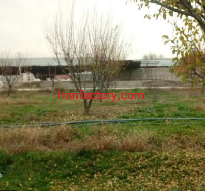 فروش 7000مترگاوداری در کرج1