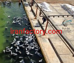 قیر اکسید شده0