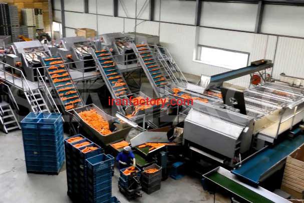 سازنده خط تولید مربای هویج سیمرکو تهران0