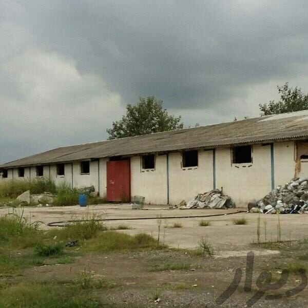 فروش سوله در رشت2