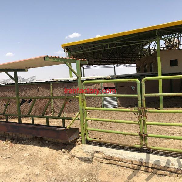 فروش دامداری در کشتارگاه صنعتی فساران2