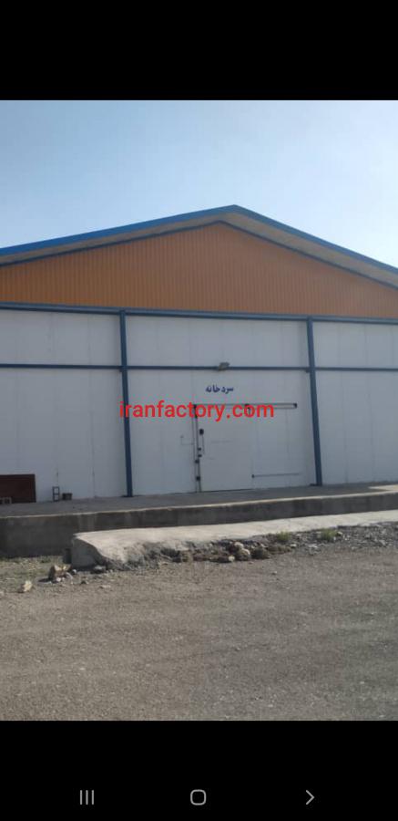 فروش کارخانه رب و شیره و خمیر خرما در کهنوج3