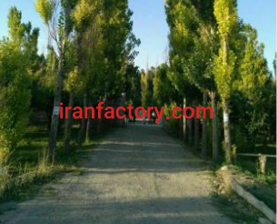 فروش پرورش ماهی در تبریز4