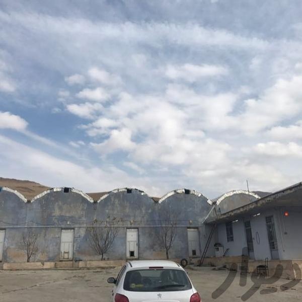 فروش کارگاه تولید قارچ اماده به کار در یاسوج2