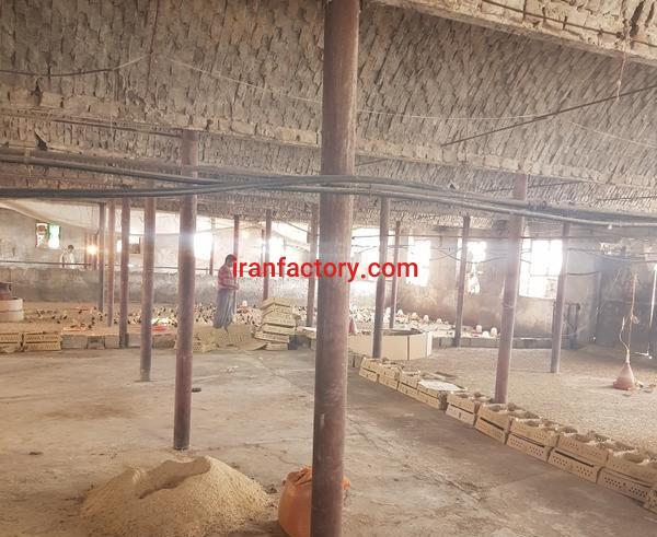 فروش دامداری و مرغداری در ورامین1