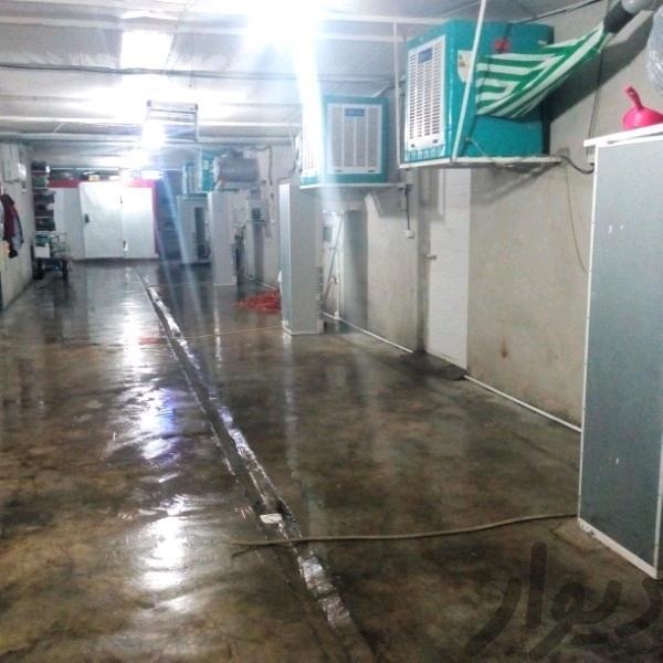 فروش کارخانه قارچ خوراکی در بوشهر3