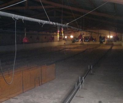 فروش مرغ داری گوشتی - زنجان ، میانه1