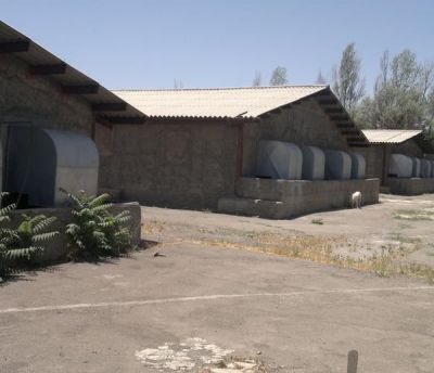 فروش مرغ داری گوشتی - زنجان ، میانه0