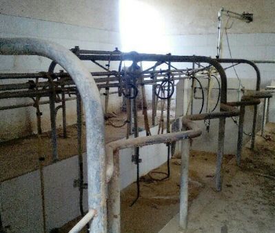 فروش گاوداری قم در شهرک لبن0
