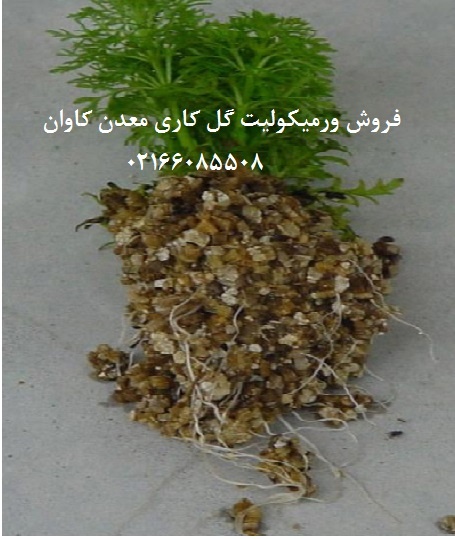 فروش ورمیکولیت کشاورزی معدن کاوان برای گل کاری0