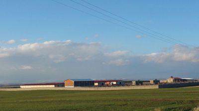 فروش مرغداری 60000 قطعه ای در مراغه2