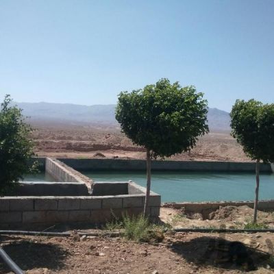 فروش مزرعه شتر مرغ در قم1