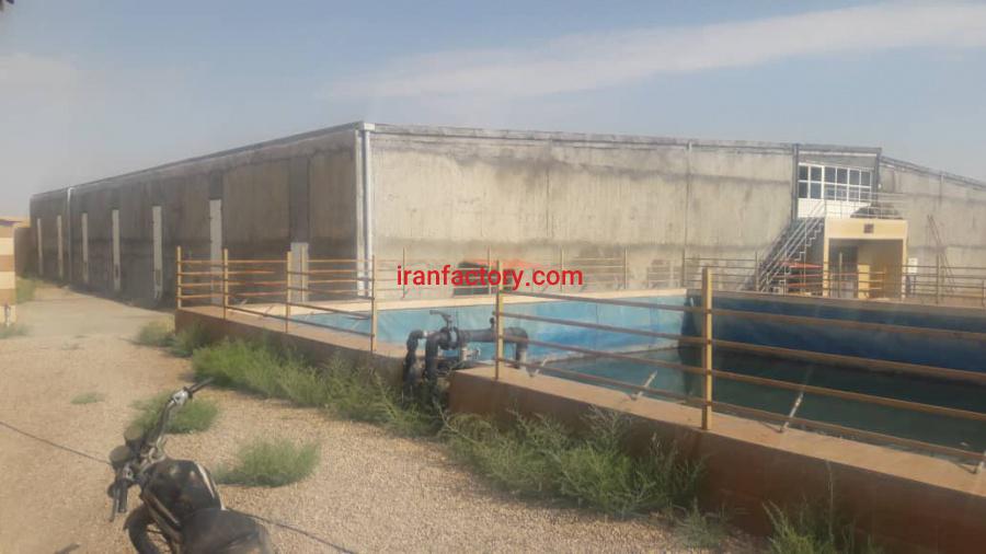 فروش کارخانه تولید قارچ خوراکی و زمین کشاورزی4