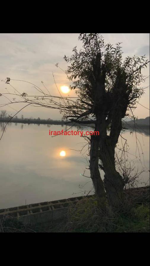 فروش پرورش ماهی در فومن2