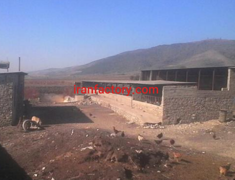 فروش 2400 متر دامداری در گلستان2