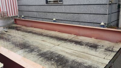 فروش کارگاه بسته بندی تخم مرغ در غرب تهران5