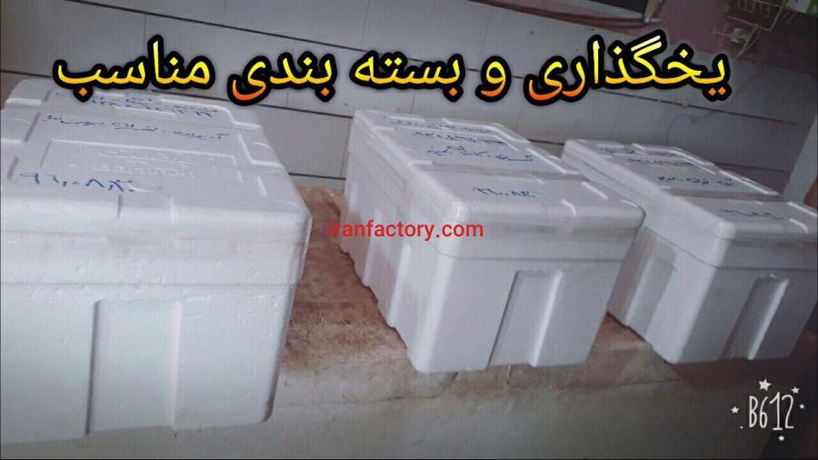 ابزیان صید روز جنوب4