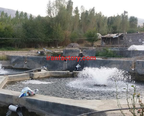 فروش 2500 متر پرورش ماهی قزل آلا در مشگین شهر2