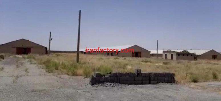 حراج مرغداری گوشتی 60000 تایی در اشتهارد1