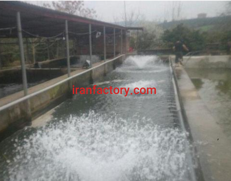 فروش 3500 متر استخر پرورش ماهی و باغ در مازندران0