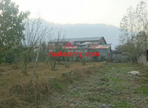 فروش 1027 متر کارخانه برنجکوبی در گیلان3