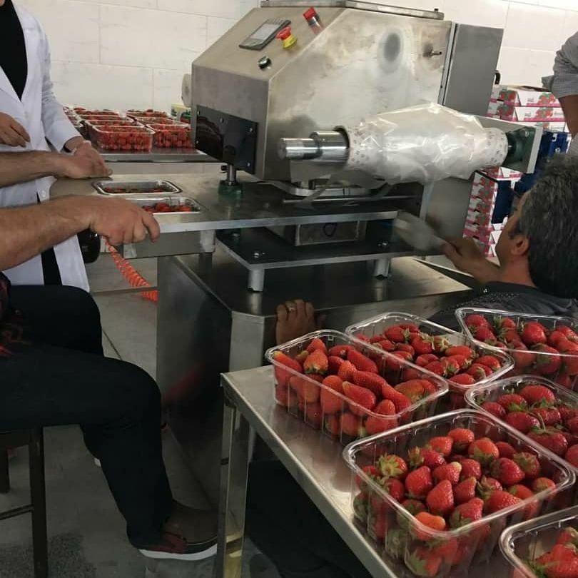 فروش خط سورتینگ و بسته بندی میوه کارکرده2