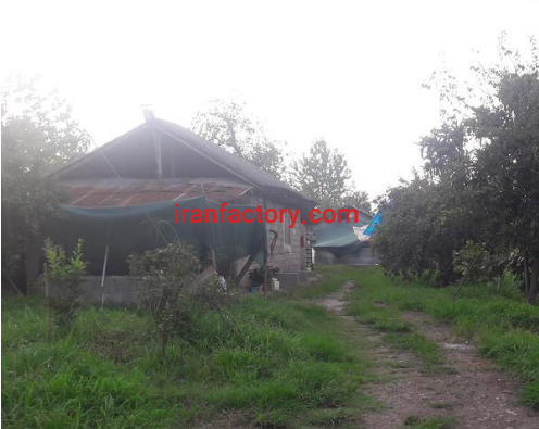 فروش 15670 مترباغ کیوی و پرورش ماهی در رودسر5