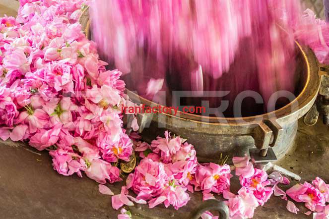 سازنده خط تولید مربای گل محمدی سیمرکو تهران0