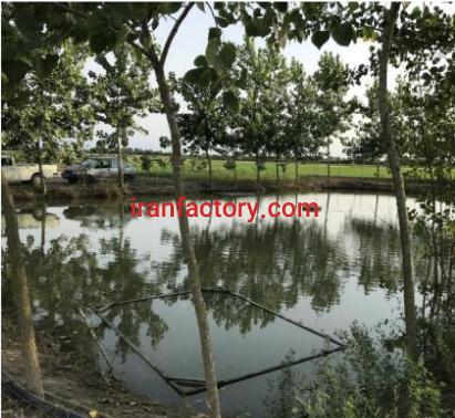 فروش یا معاوضه11000متر پرورش ماهی و باغ مرکبات در جویبار0