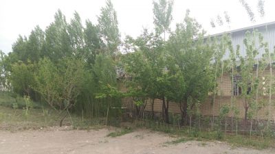 فروش کارخانه نورد میلگرد زنجان9