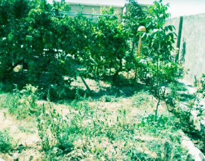 فروش کارگاه در شهرک صنعتی در رباط کریم2