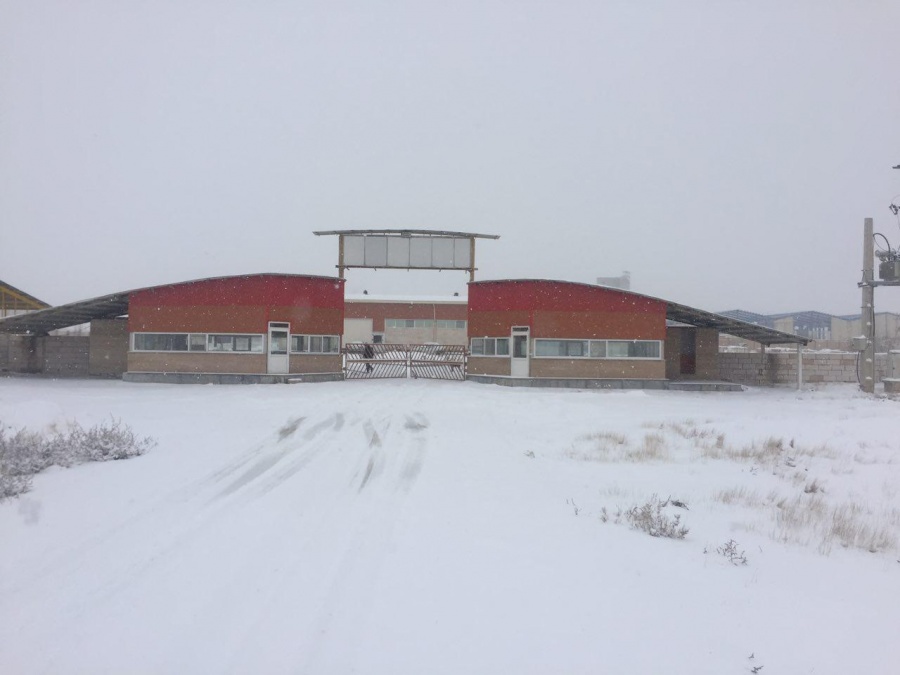 فروش کارخانه بسته بندی کشمش و میوه جات خشک6