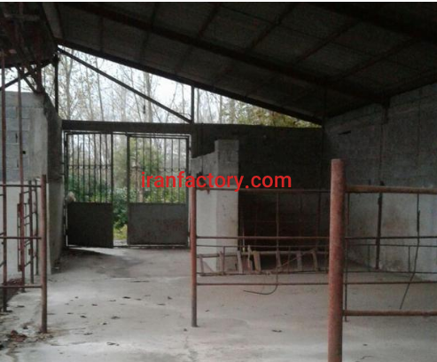 فروش 1000دامداری در رشت1