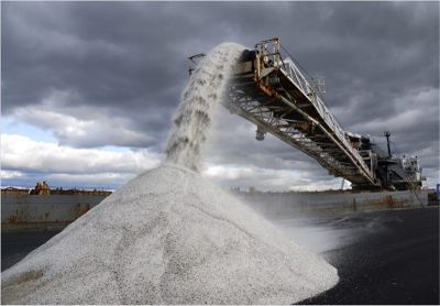فروش عمده نمکهای خوراکی و دامی2