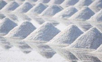 ملح تصدير صناعة الملح 1