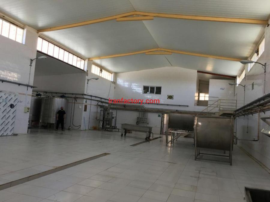 فروش کارخانه پنیر پیتزا با برند معتبر0