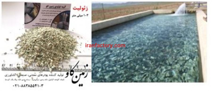 بررسی اثرات زئولیت بر خوراک میگو ها(Zeolite)0