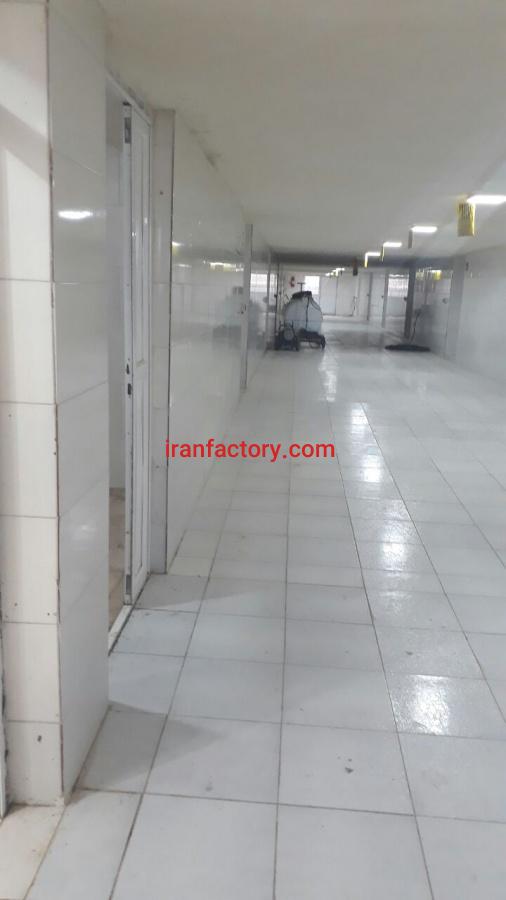 فروش کارخانه تولیدقارچ دکمه ای در وردنجان6