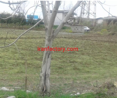 معاوضه و فروش 500 متر زمین صنعتی در قایم شهر0