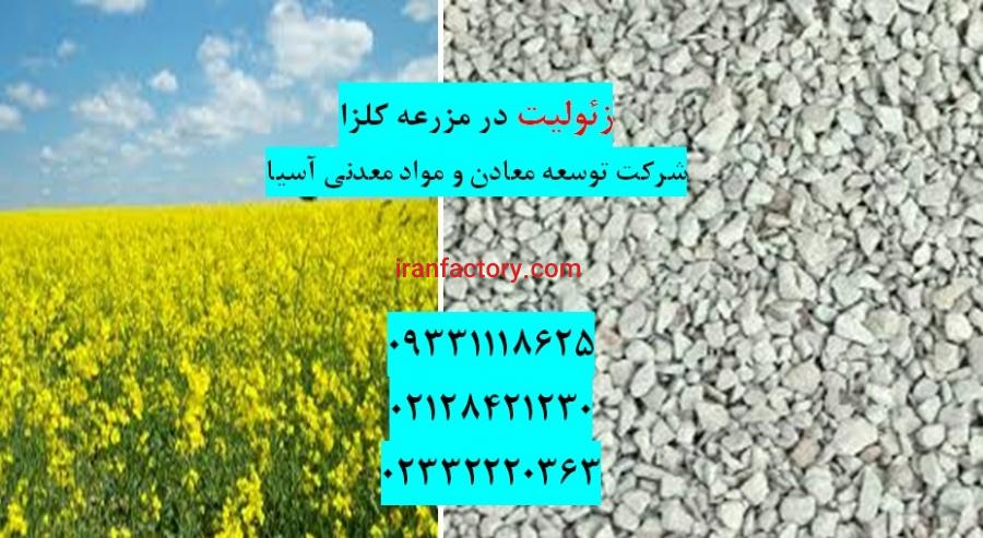فروش زئولیت در کشت کلزا0