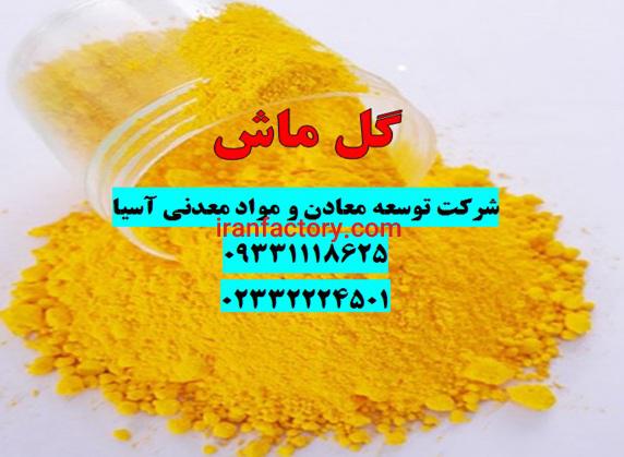 فروش رنگ گل ماشی0