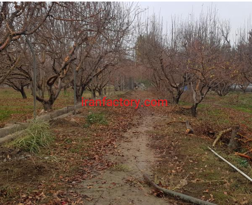 فروش 30000 متر زمین در اتوبان تهران0