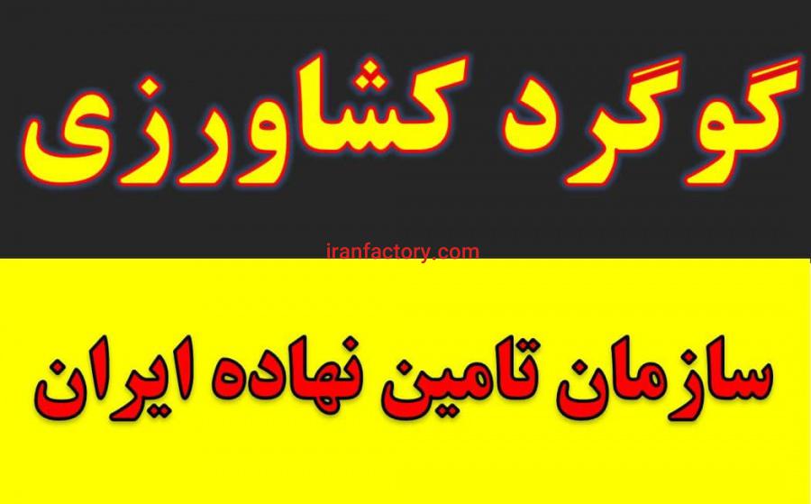 فروش گوگرد پودری,Powder sulfur,گوگرد بنتونیت,گوگرد کلوخه,گوگرد گرانول در کرمان3
