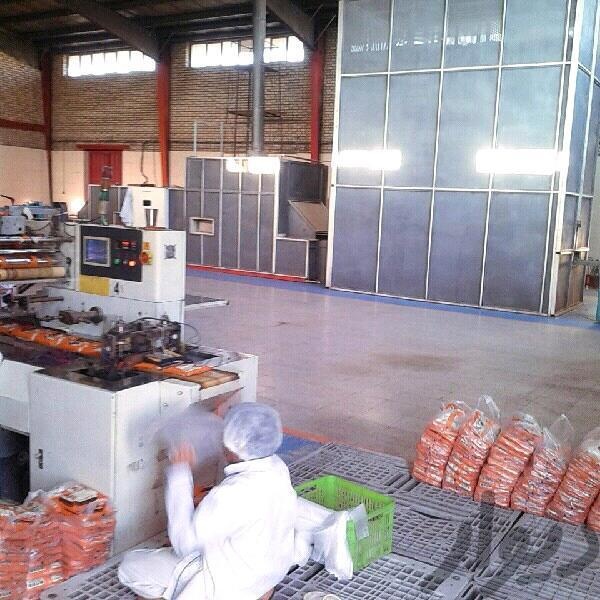 فروش کارخانه نان صنعتی در صفادشت0