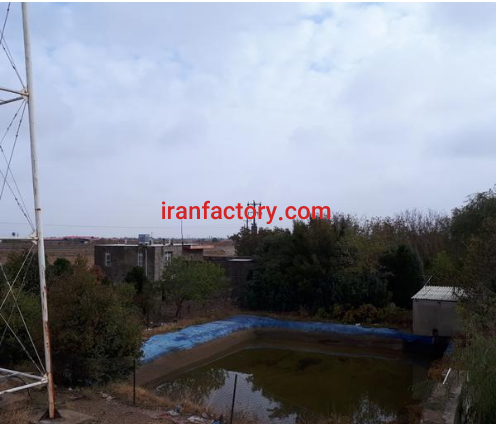 فروش 40 هزار متر گلخانه و استخر در تاکستان4